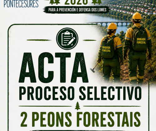 ANUNCIO DOS RESULTADOS DO PROCESO SELECTIVO SESION 10.07.2026